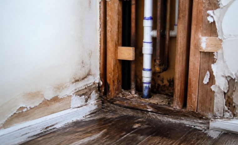 signs of hidden water pipe leaks in your home 1789180953 2